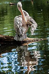 《最终幻想起源：天堂的陌生人》是FF1剧情的另一面